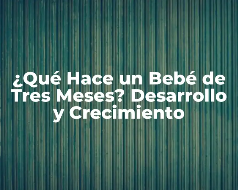 ¿Qué Hace un Bebé de Tres Meses? Desarrollo y Crecimiento