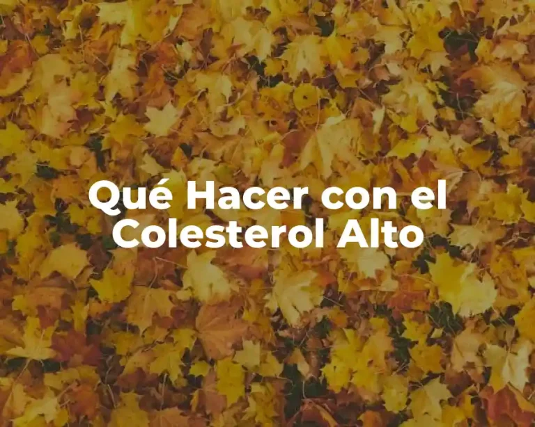 Qué Hacer con el Colesterol Alto