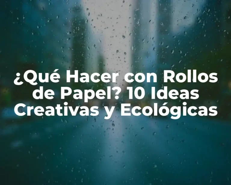 ¿Qué Hacer con Rollos de Papel? 10 Ideas Creativas y Ecológicas