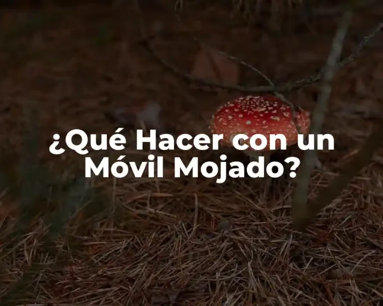 ¿Qué Hacer con un Móvil Mojado?