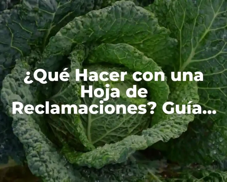 ¿Qué Hacer con una Hoja de Reclamaciones? Guía Completa y Detallada