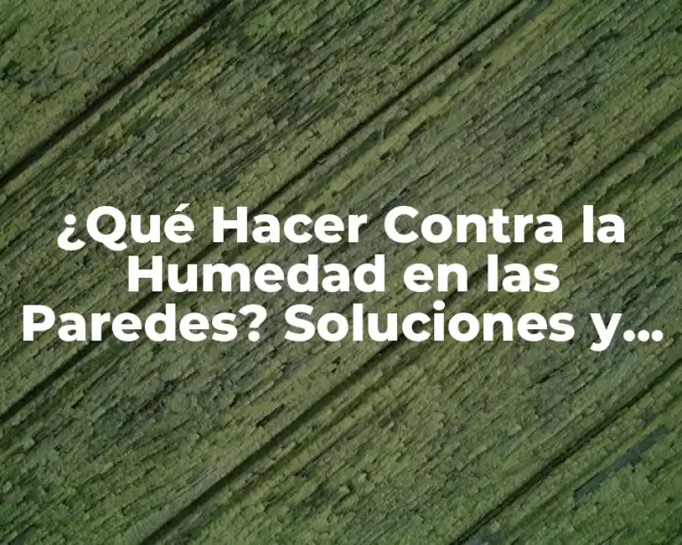 ¿Qué Hacer Contra la Humedad en las Paredes? Soluciones y Trucos