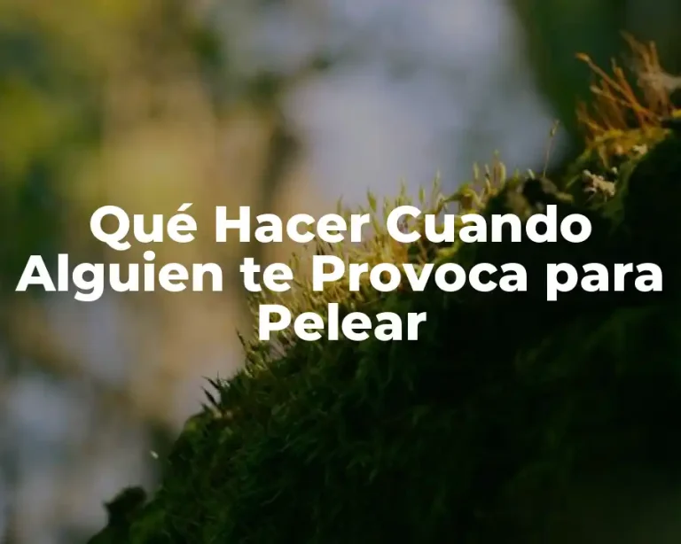 Qué Hacer Cuando Alguien te Provoca para Pelear