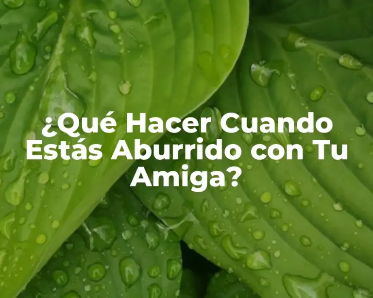 ¿Qué Hacer Cuando Estás Aburrido con Tu Amiga?