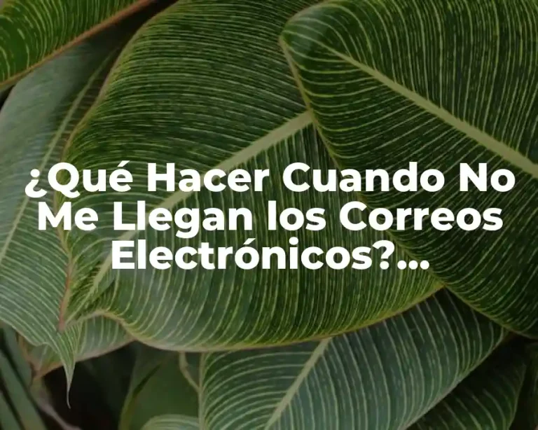 ¿Qué Hacer Cuando No Me Llegan los Correos Electrónicos? Soluciones y Tips