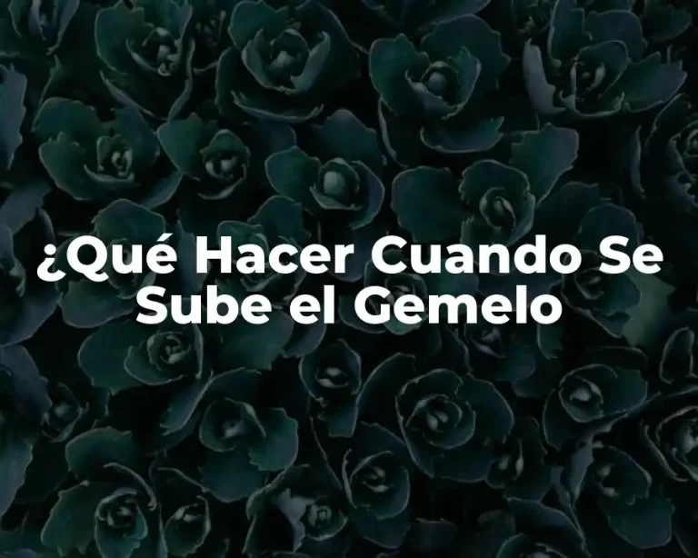 ¿Qué Hacer Cuando Se Sube el Gemelo
