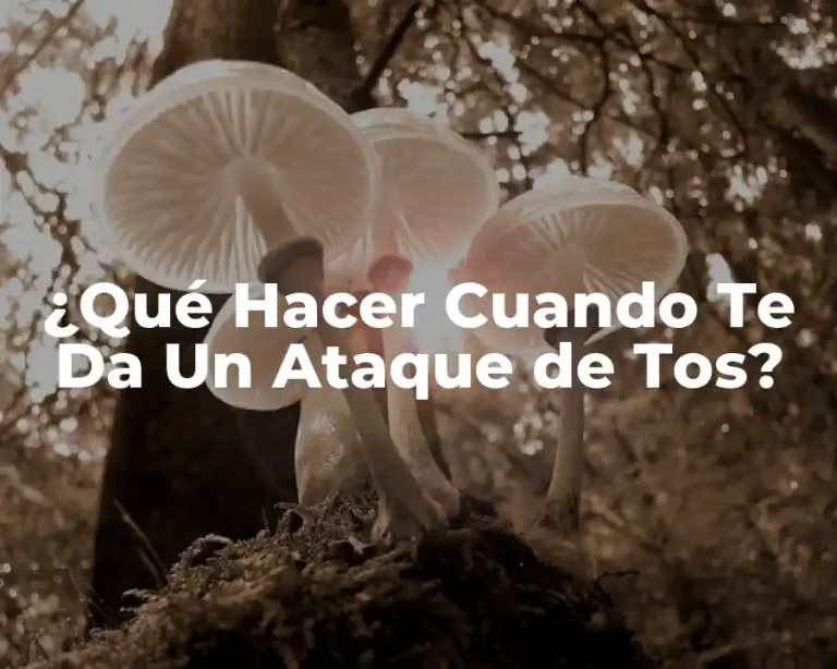 ¿Qué Hacer Cuando Te Da Un Ataque de Tos?