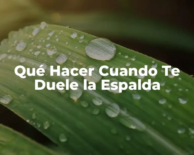 Qué Hacer Cuando Te Duele la Espalda