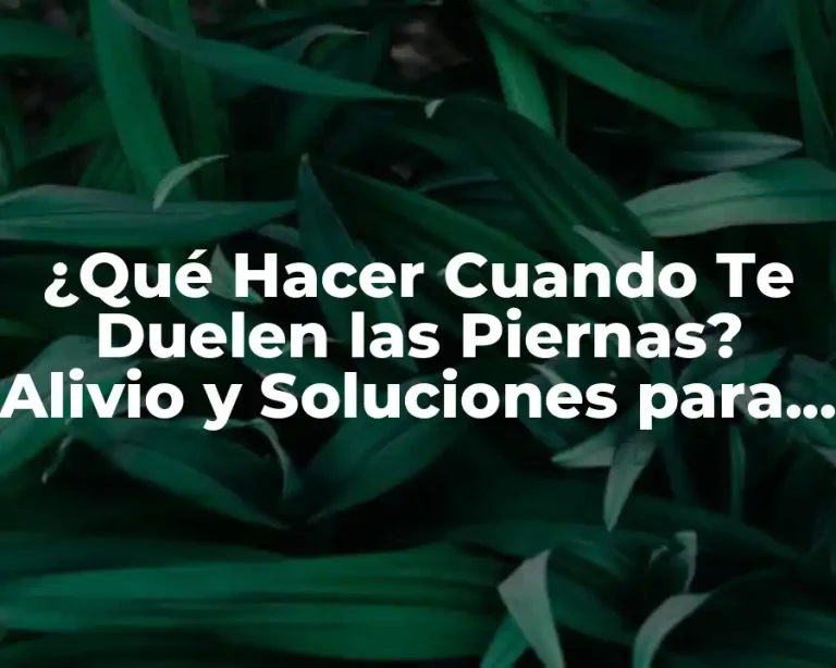 ¿Qué Hacer Cuando Te Duelen las Piernas? Alivio y Soluciones para el Dolor Crónico