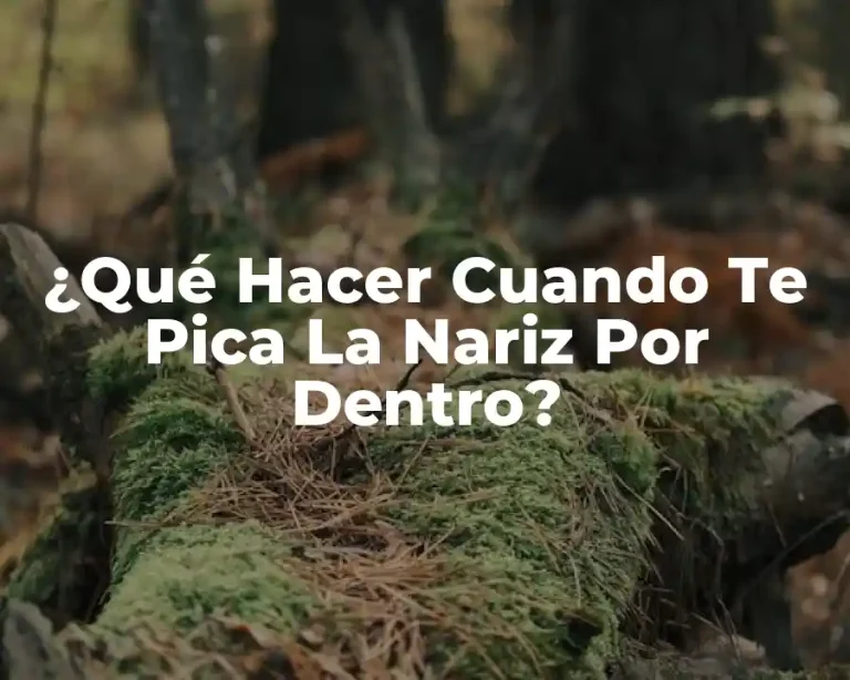 ¿Qué Hacer Cuando Te Pica La Nariz Por Dentro?