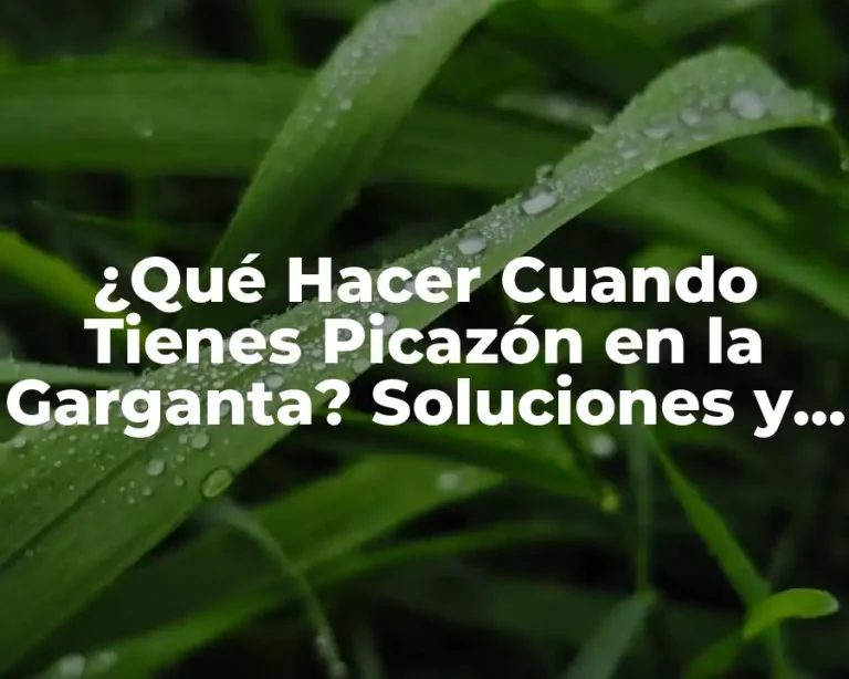 ¿Qué Hacer Cuando Tienes Picazón en la Garganta? Soluciones y Remedios Naturales
