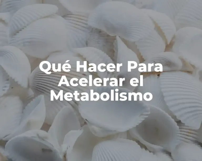 Qué Hacer Para Acelerar el Metabolismo
