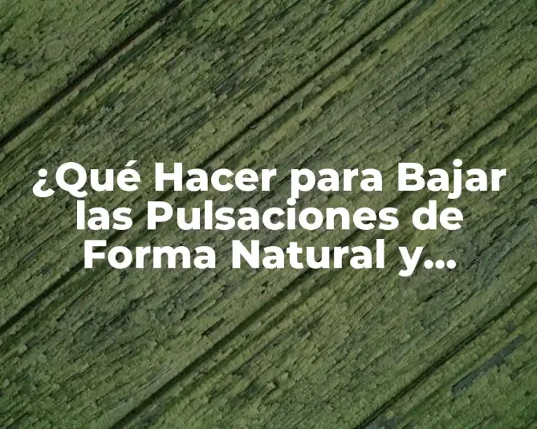 ¿Qué Hacer para Bajar las Pulsaciones de Forma Natural y Segura?