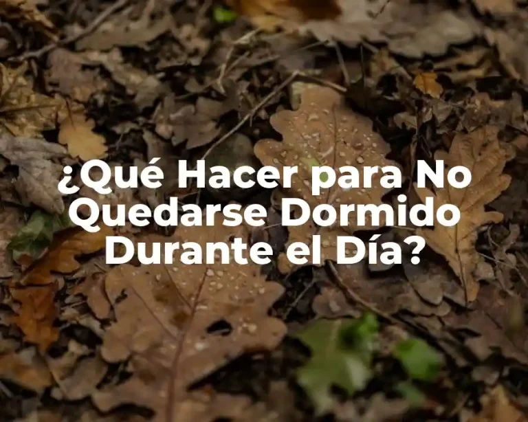 ¿Qué Hacer para No Quedarse Dormido Durante el Día?