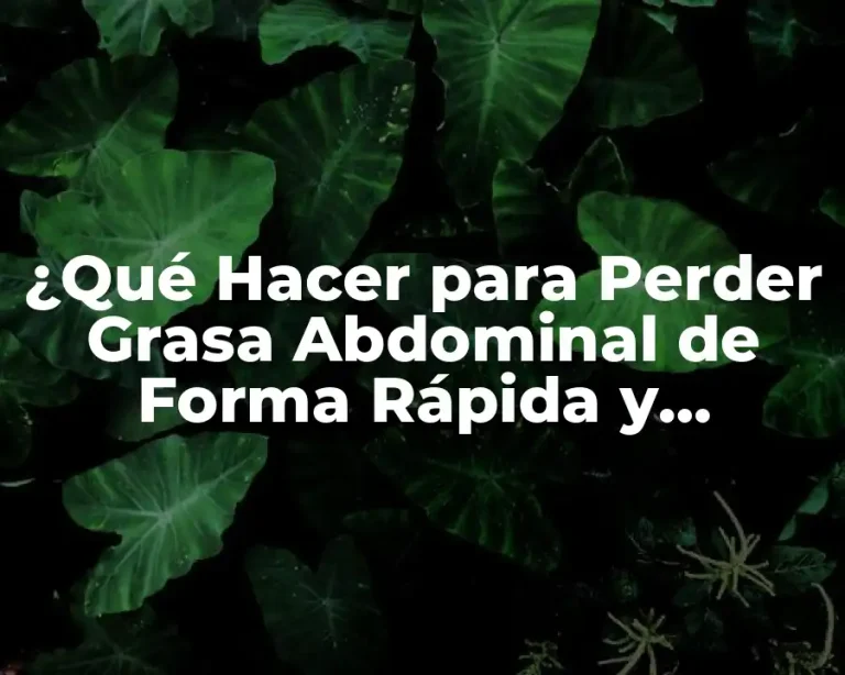 ¿Qué Hacer para Perder Grasa Abdominal de Forma Rápida y Segura?