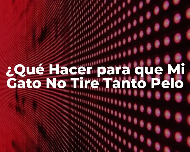 ¿Qué Hacer para que Mi Gato No Tire Tanto Pelo