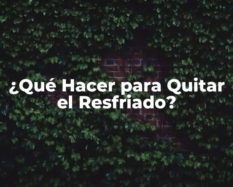 ¿Qué Hacer para Quitar el Resfriado?