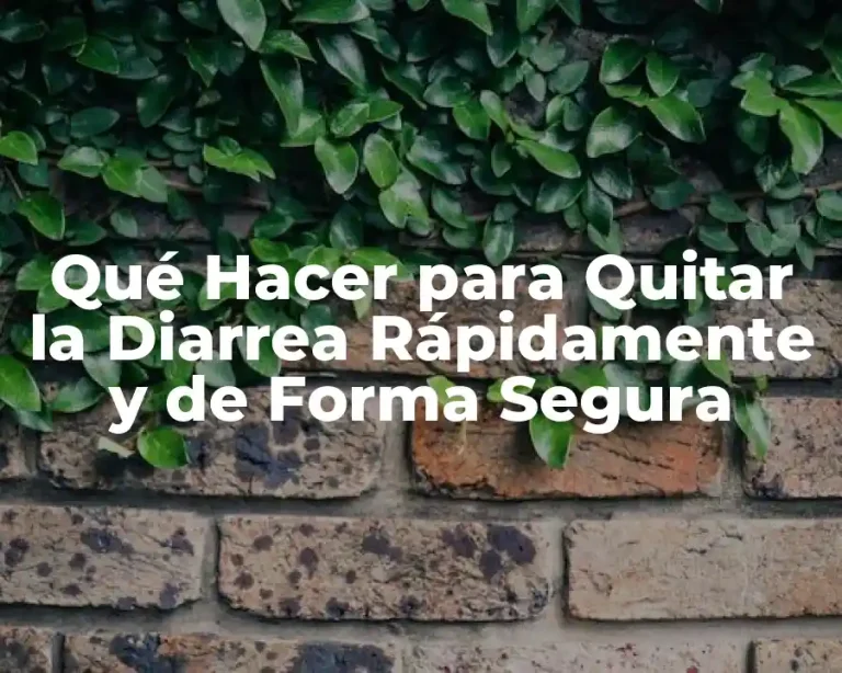 Qué Hacer para Quitar la Diarrea Rápidamente y de Forma Segura