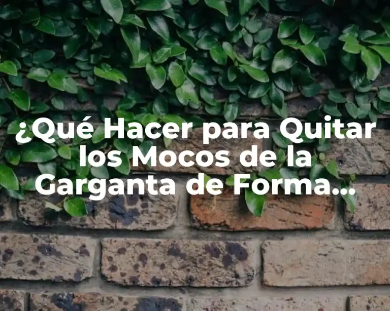¿Qué Hacer para Quitar los Mocos de la Garganta de Forma Natural y Efectiva?