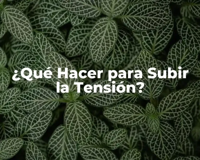 ¿Qué Hacer para Subir la Tensión?