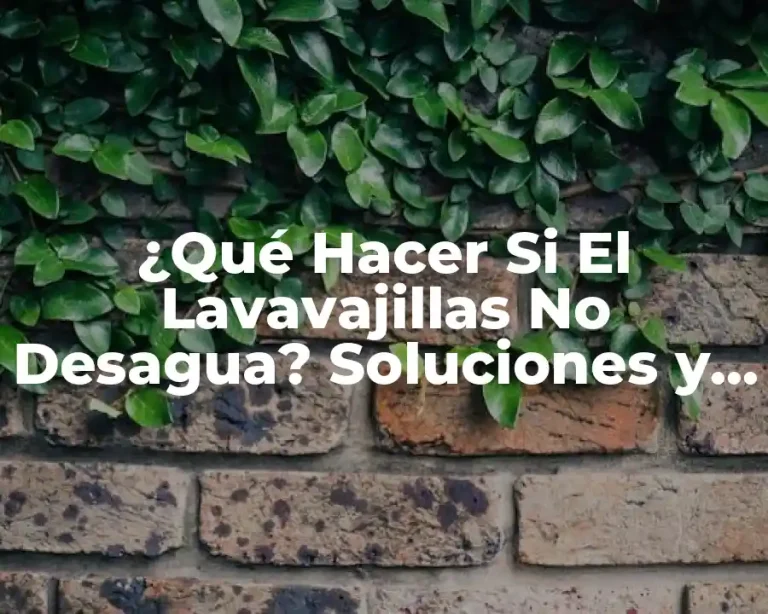 ¿Qué Hacer Si El Lavavajillas No Desagua? Soluciones y Consejos Prácticos