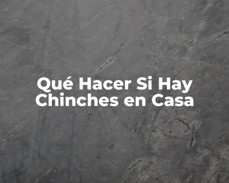 Qué Hacer Si Hay Chinches en Casa