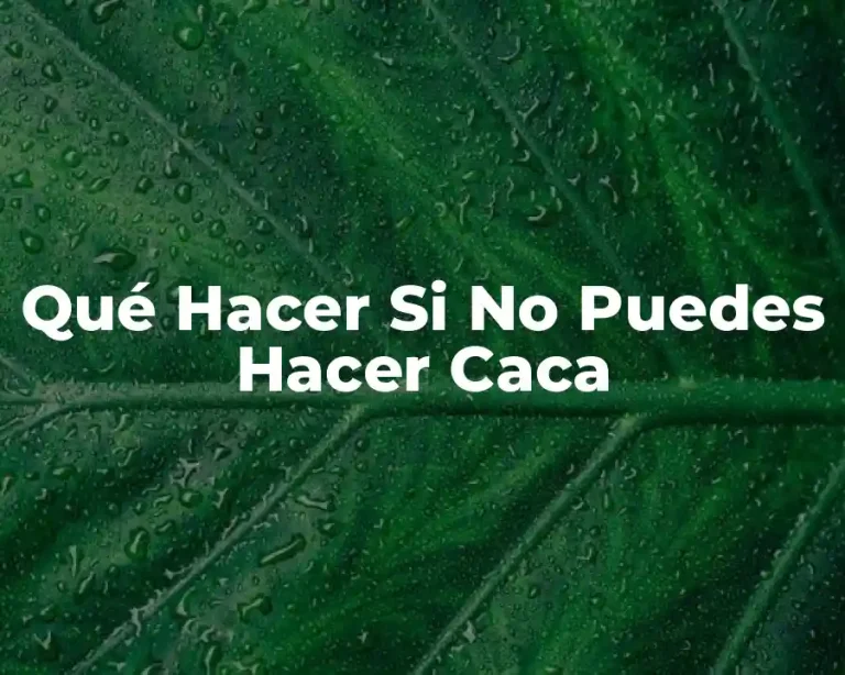 Qué Hacer Si No Puedes Hacer Caca
