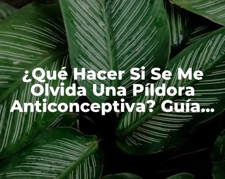¿Qué Hacer Si Se Me Olvida Una Píldora Anticonceptiva? Guía Completa