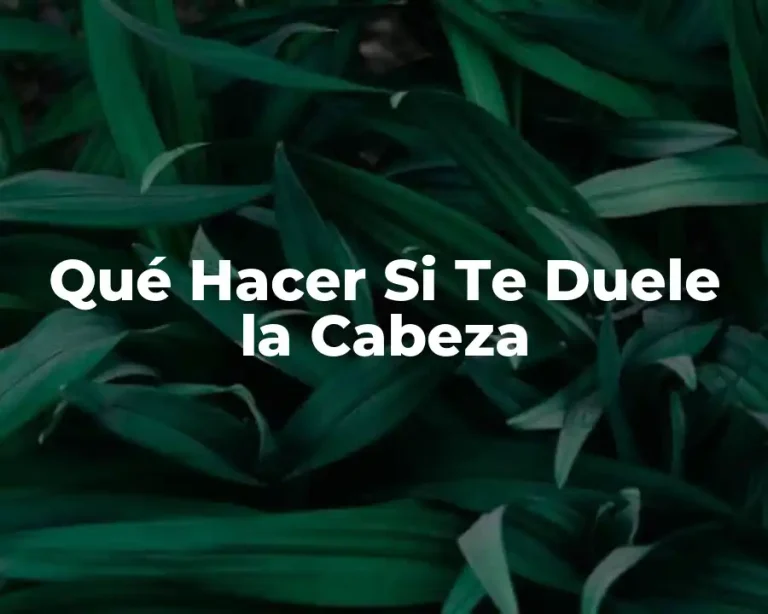 Qué Hacer Si Te Duele la Cabeza