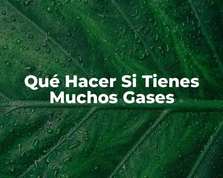 Qué Hacer Si Tienes Muchos Gases