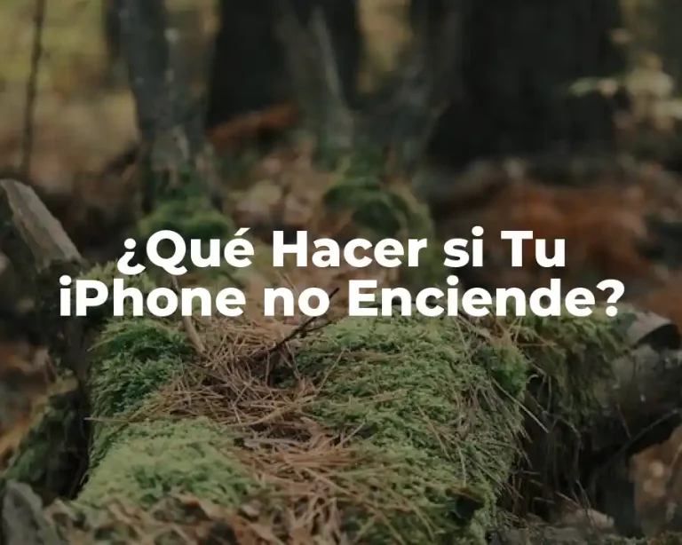 ¿Qué Hacer si Tu iPhone no Enciende?