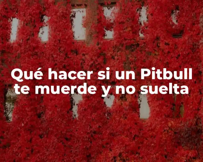 Qué hacer si un Pitbull te muerde y no suelta