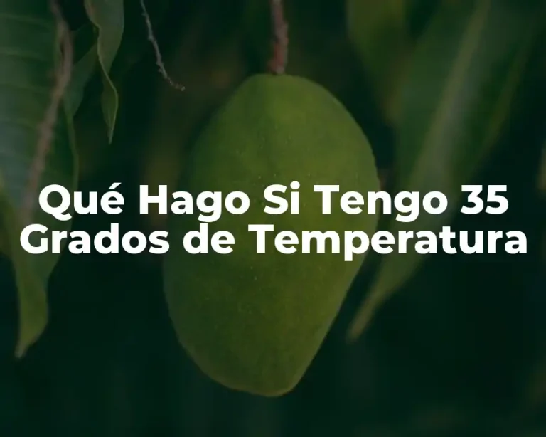 Qué Hago Si Tengo 35 Grados de Temperatura