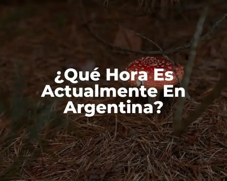 ¿Qué Hora Es Actualmente En Argentina?