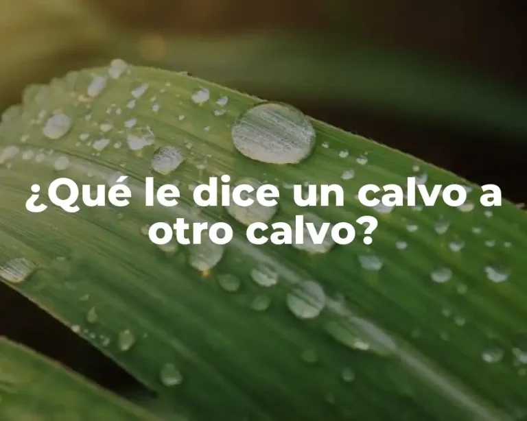 ¿Qué le dice un calvo a otro calvo?