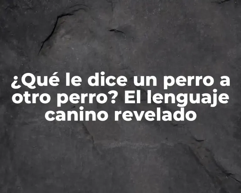 ¿Qué le dice un perro a otro perro? El lenguaje canino revelado