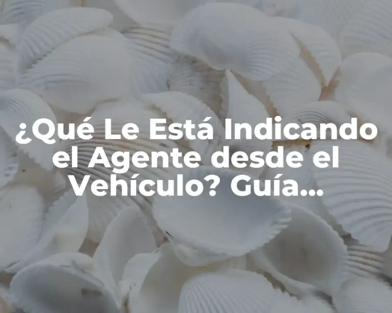 ¿Qué Le Está Indicando el Agente desde el Vehículo? Guía Completa para Entender el Lenguaje de los Agentes de Tráfico