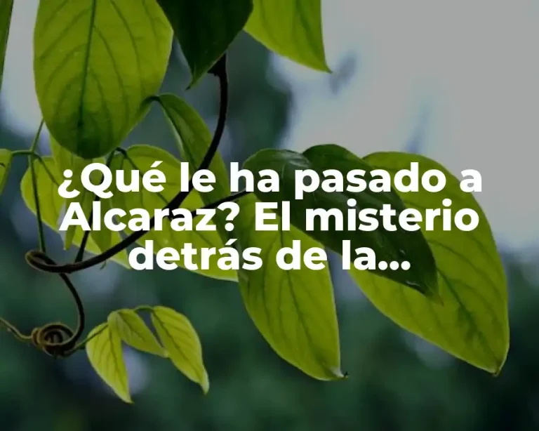 ¿Qué le ha pasado a Alcaraz? El misterio detrás de la desaparición del joven futbolista