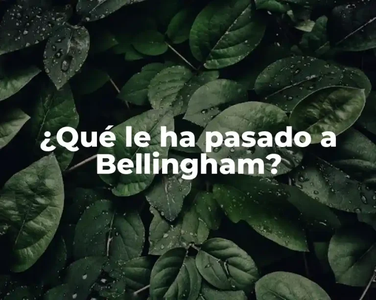 ¿Qué le ha pasado a Bellingham?