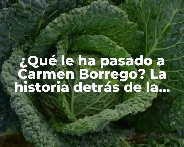 ¿Qué le ha pasado a Carmen Borrego? La historia detrás de la famosa presentadora de televisión