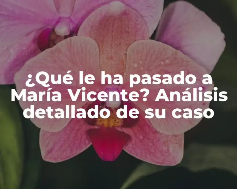 ¿Qué le ha pasado a María Vicente? Análisis detallado de su caso