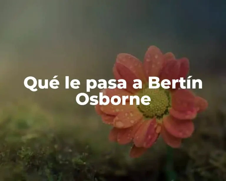 Qué le pasa a Bertín Osborne