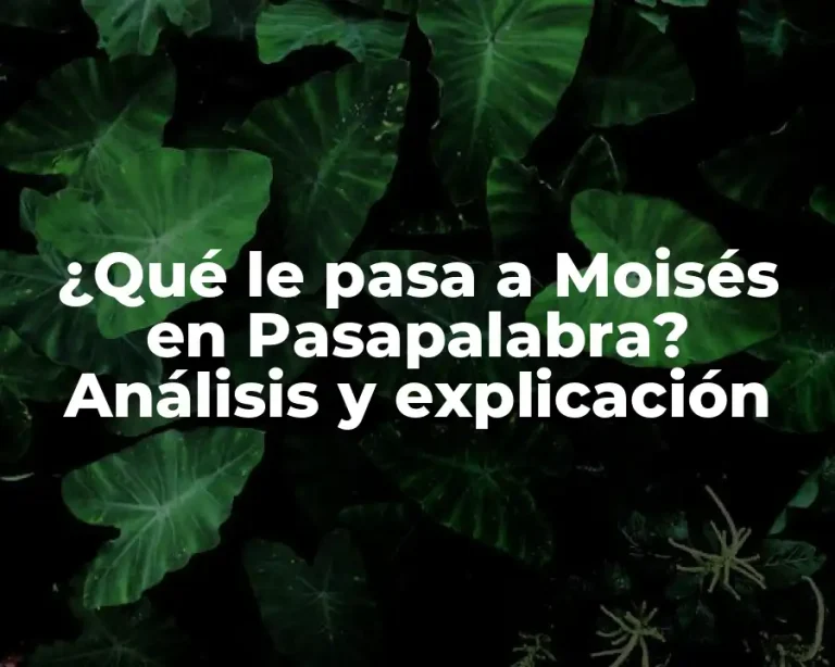 ¿Qué le pasa a Moisés en Pasapalabra? Análisis y explicación