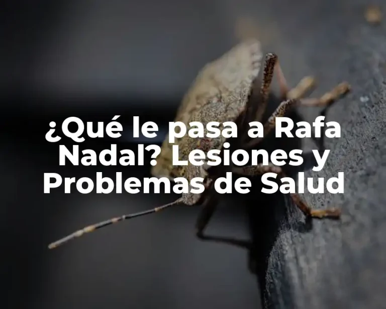 ¿Qué le pasa a Rafa Nadal? Lesiones y Problemas de Salud