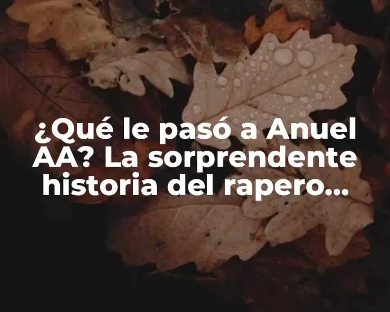 ¿Qué le pasó a Anuel AA? La sorprendente historia del rapero puertorriqueño