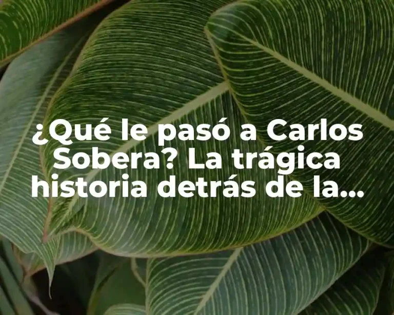 ¿Qué le pasó a Carlos Sobera? La trágica historia detrás de la fama