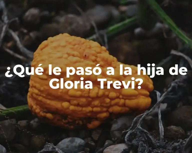 ¿Qué le pasó a la hija de Gloria Trevi?