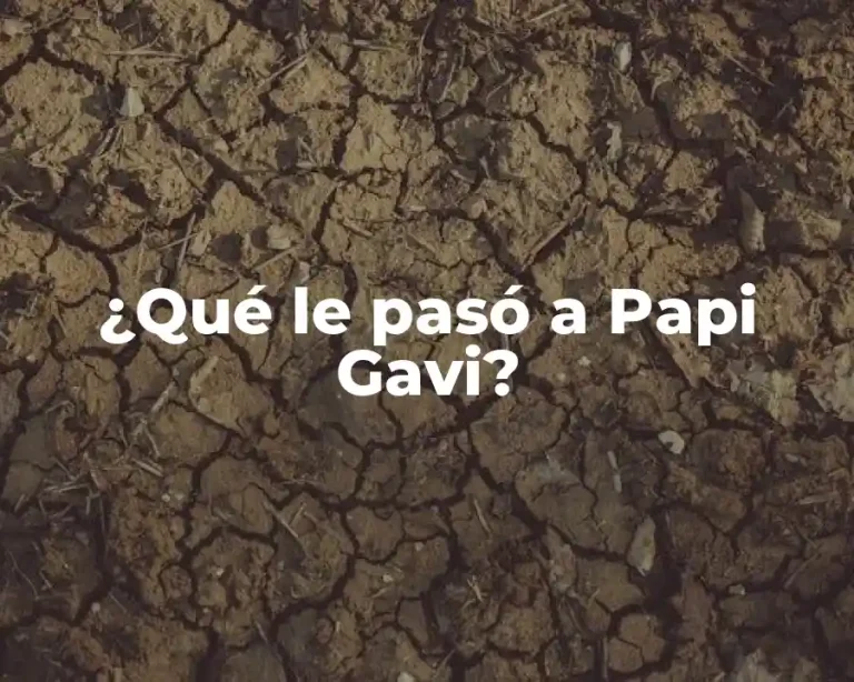 ¿Qué le pasó a Papi Gavi?