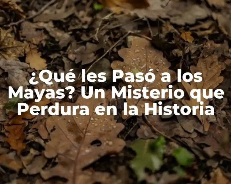 ¿Qué les Pasó a los Mayas? Un Misterio que Perdura en la Historia