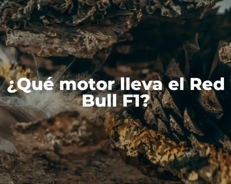 ¿Qué motor lleva el Red Bull F1?